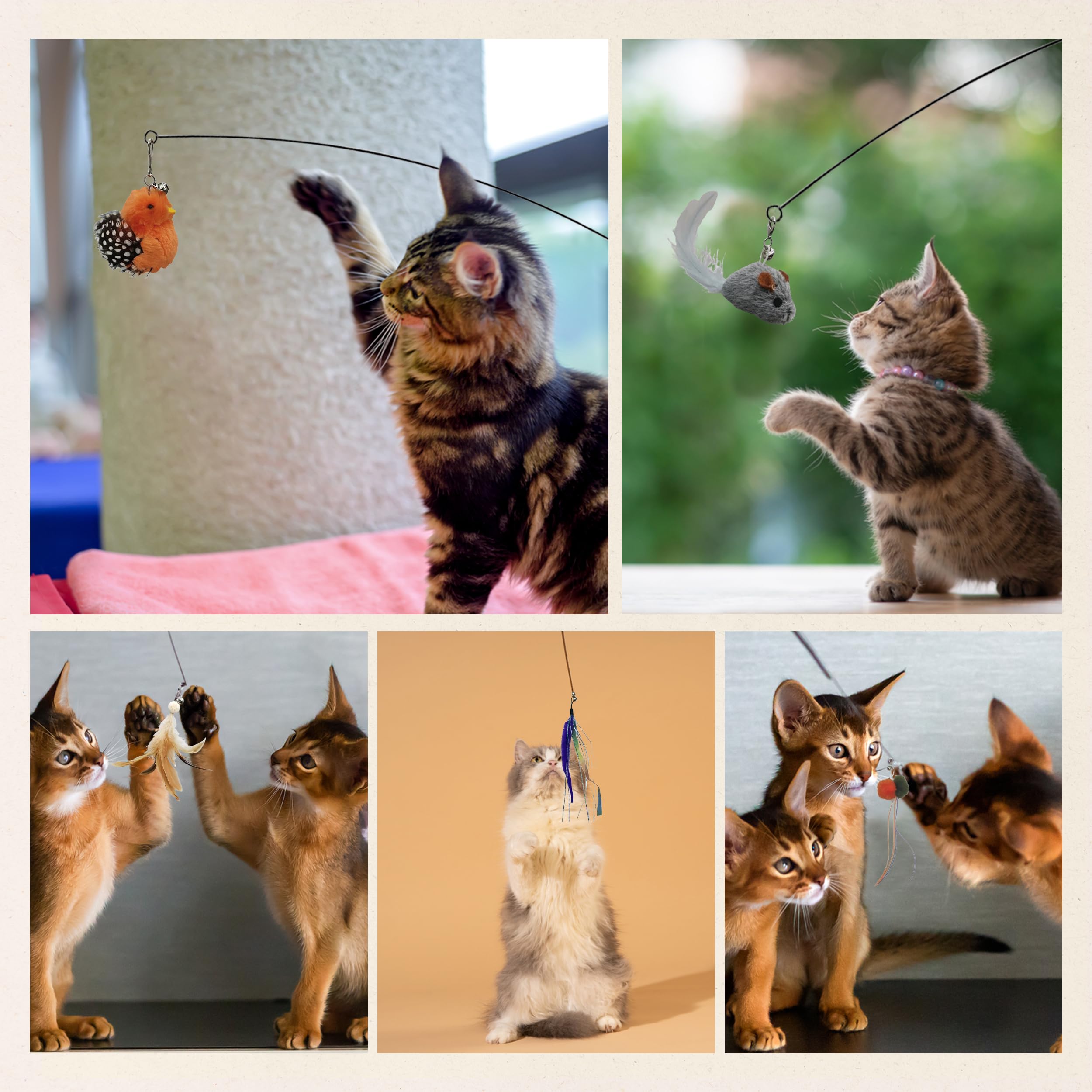 Cutie Paw Pal Interactive Play Set - Set Of 5 Replacement Toys: Mouse, Duck, Feathers, Balls & Worm Heads - Engaging Cat Toys Wi